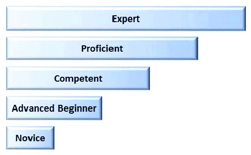 Five-levels-of-expertise : Freelancer vs Software Development Agency