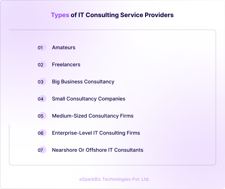 Types of IT Consulting Service Providers