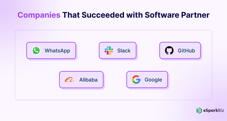 Companies That Succeeded with Software Partner