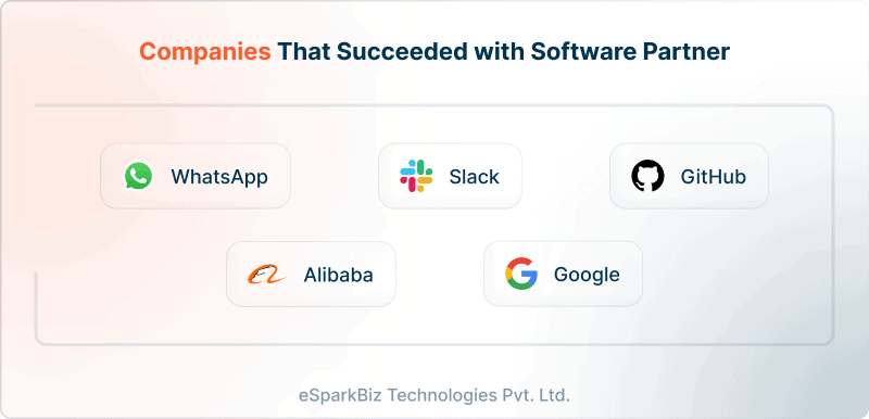Companies That Succeeded with Software Partner