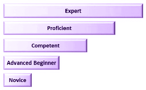 Five-levels-of-expertise : Freelancer vs Software Development Agency