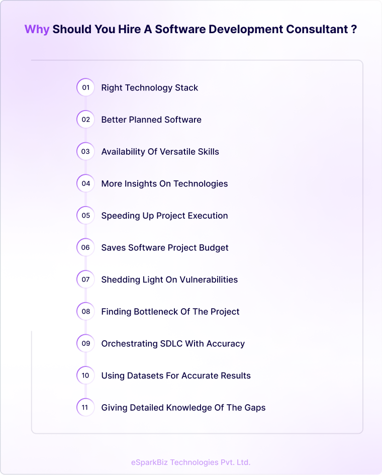 Why should you hire a software development consultant _