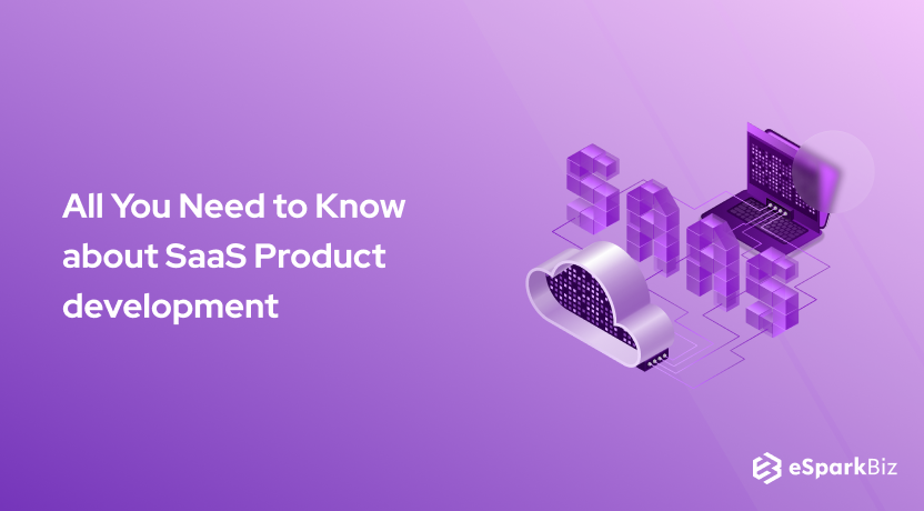 All You Need to Know about SaaS Product development