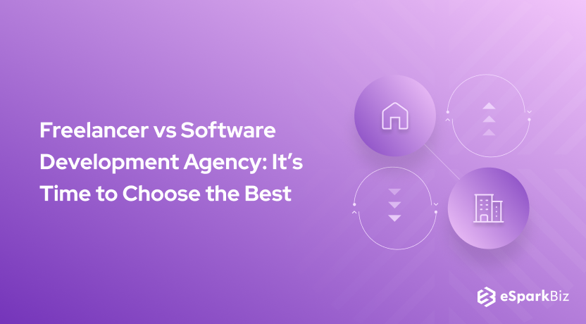 Freelancer vs Software Development Agency: It’s Time to Choose the Best