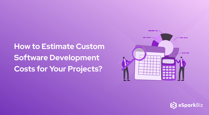 How to Estimate Custom Software Development Costs for Your Projects_