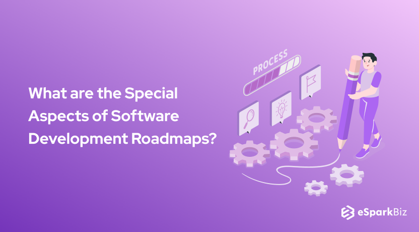 What are the Special Aspects of Software Development Roadmaps?