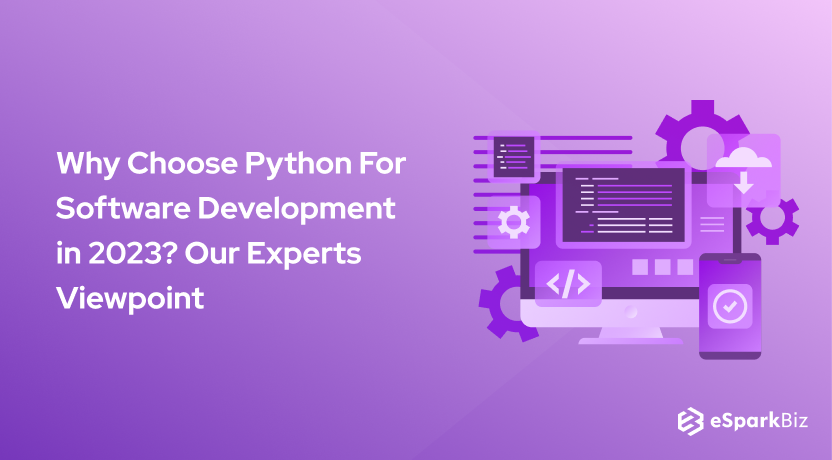 Why Choose Python For Software Development in 2024? Our Experts Viewpoint