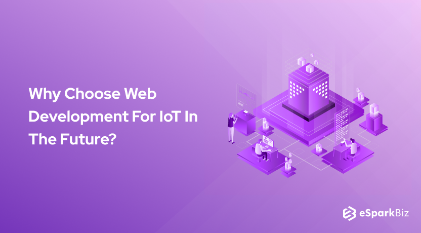 Why Choose Web Development For IoT In The Future?