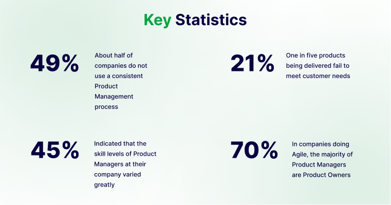 49% of companies don't follow proper digital product development processes