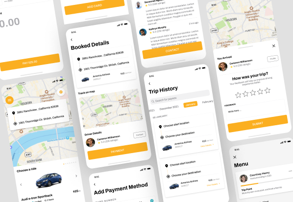 Enhancing Driver Efficiency and Safety: A Custom Route Management Solution