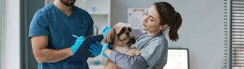 Veterinary
