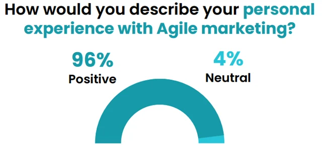 Which Companies provide Agile Teams for Scaling Startups? 2 Personal experience