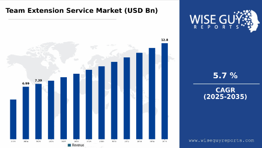 Team Extension Service Market