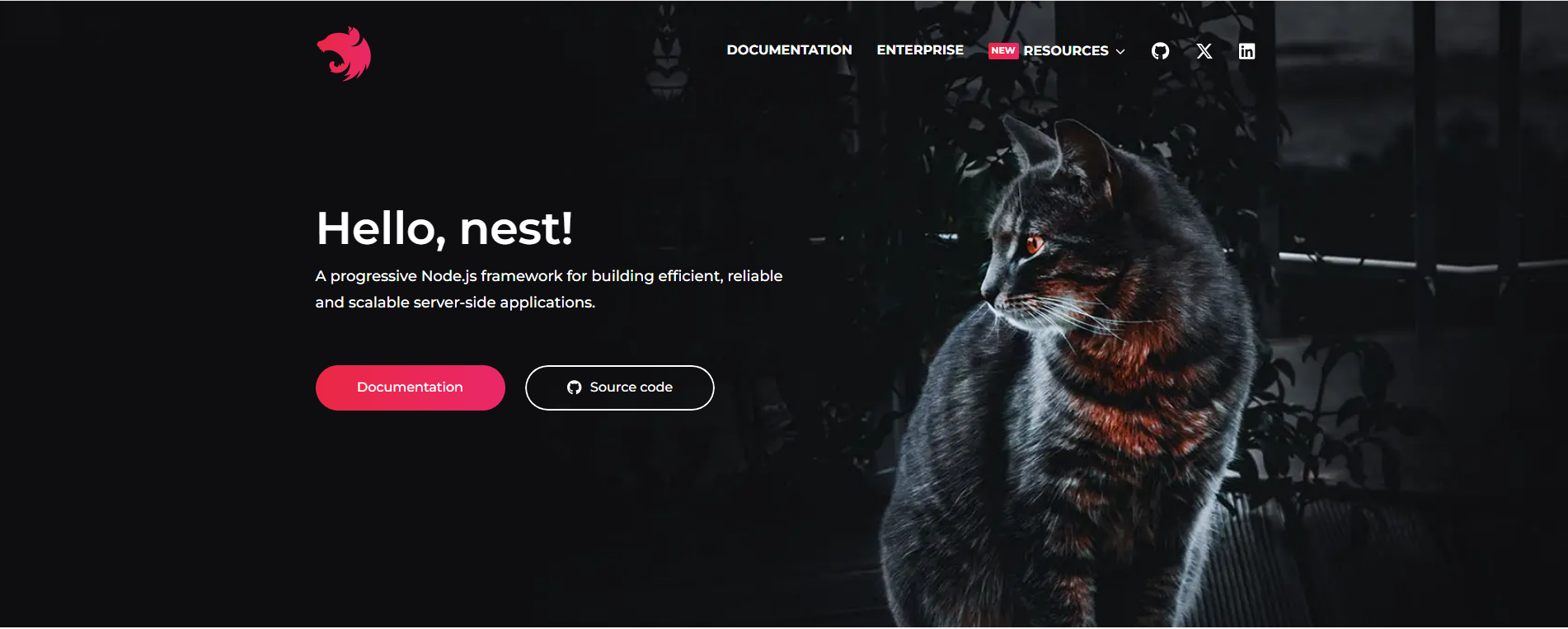 Top Nodejs Frameworks for App Development in 2026 3 NestJS