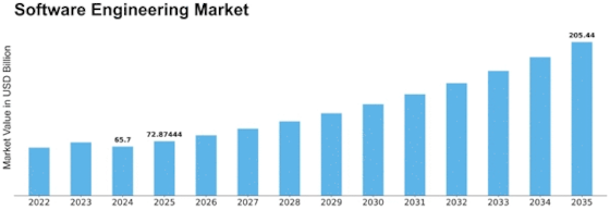 Top 10 Software Development Companies in Florida (2026 Edition) 3 Software engeering market
